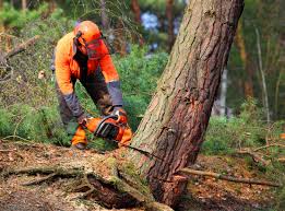 Best Landscape Design and Installation  in Juniper Canyon, OR