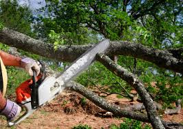 Best Seasonal Cleanup (Spring/Fall)  in Juniper Canyon, OR
