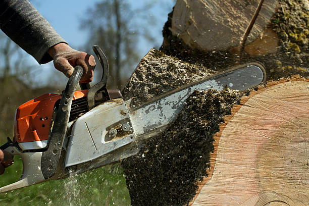 Best Firewood Processing and Delivery  in Juniper Canyon, OR